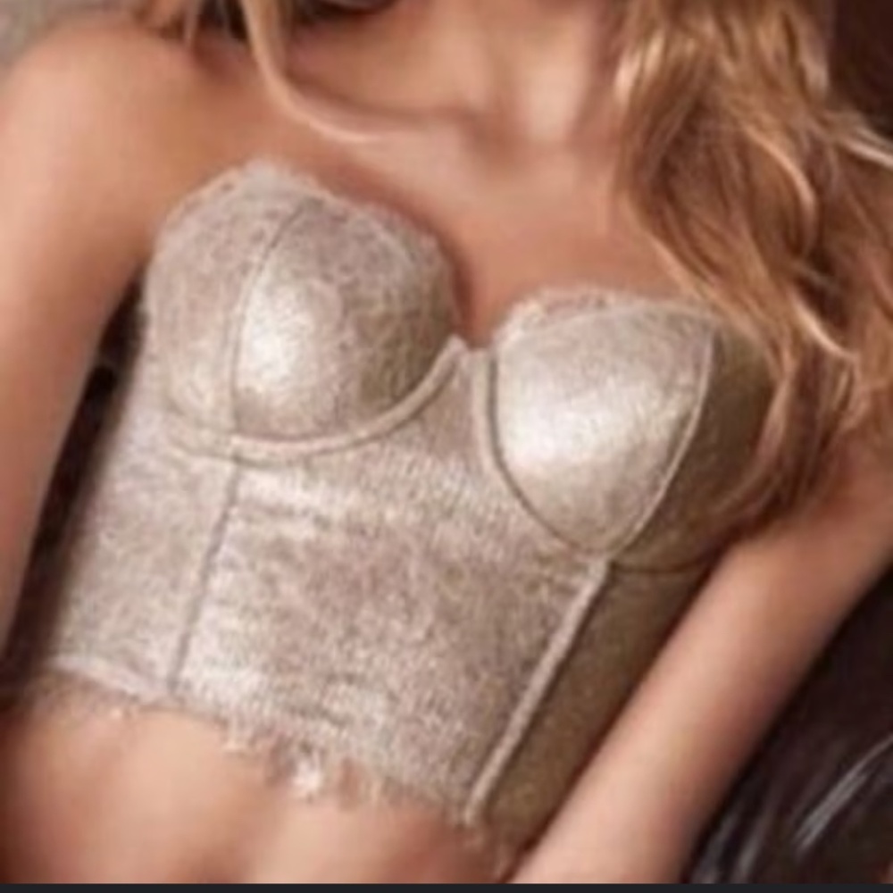 Victoria's‎ Secret Dream Angels Long Line Bustier Bra 32DD Metallic/Silver
